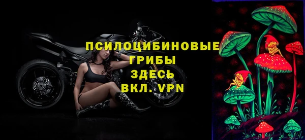 альфа пвп Новокубанск