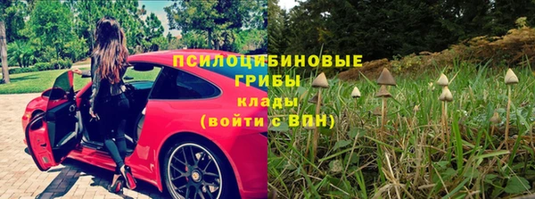 каннабис Новодвинск