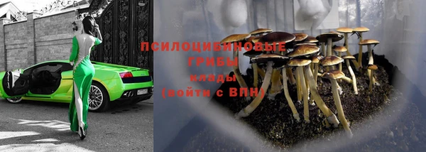каннабис Новодвинск