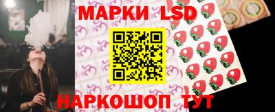 индика Гай