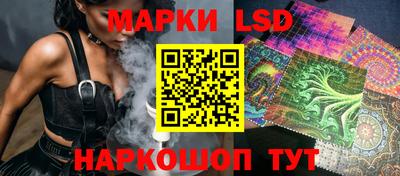 индика Абинск