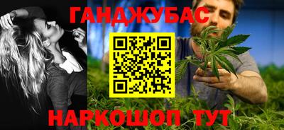 индика Гай