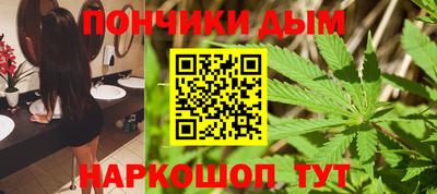 индика Гай