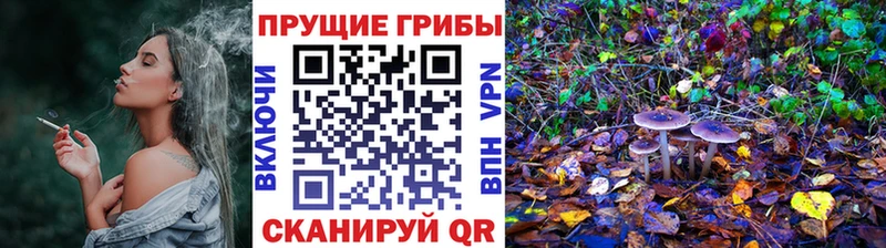 blacksprut зеркало это формула Галлюциногенные грибы мухоморы Куйбышев
